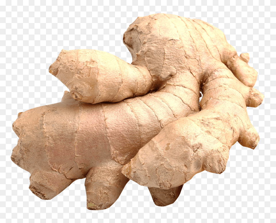 Ginger Image, Food, Plant, Spice, Animal Free Png