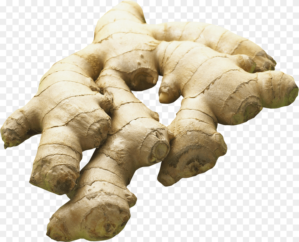 Ginger Image Ginger With Background, Food, Plant, Spice, Animal Free Transparent Png
