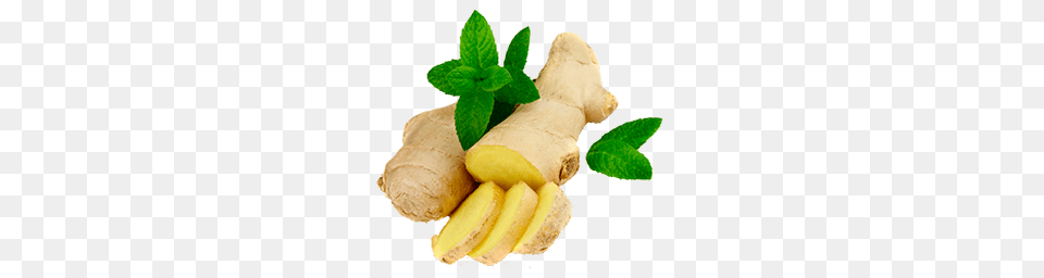 Ginger Nausea, Herbs, Plant, Food, Spice Free Png Download