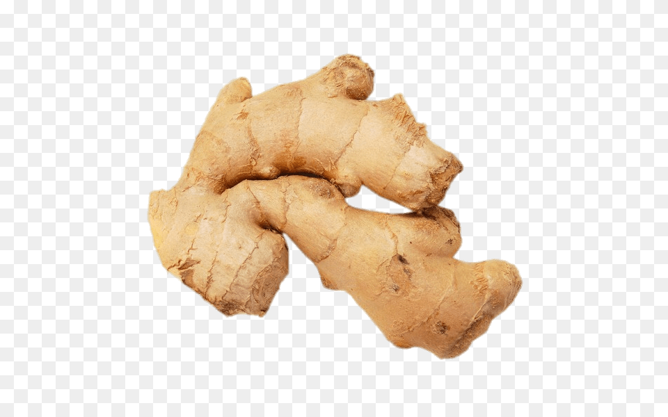 Ginger Root, Food, Plant, Spice, Animal Free Png