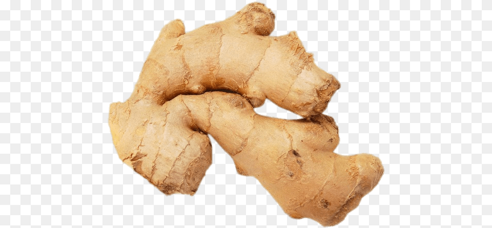 Ginger Root, Food, Plant, Spice, Animal Png