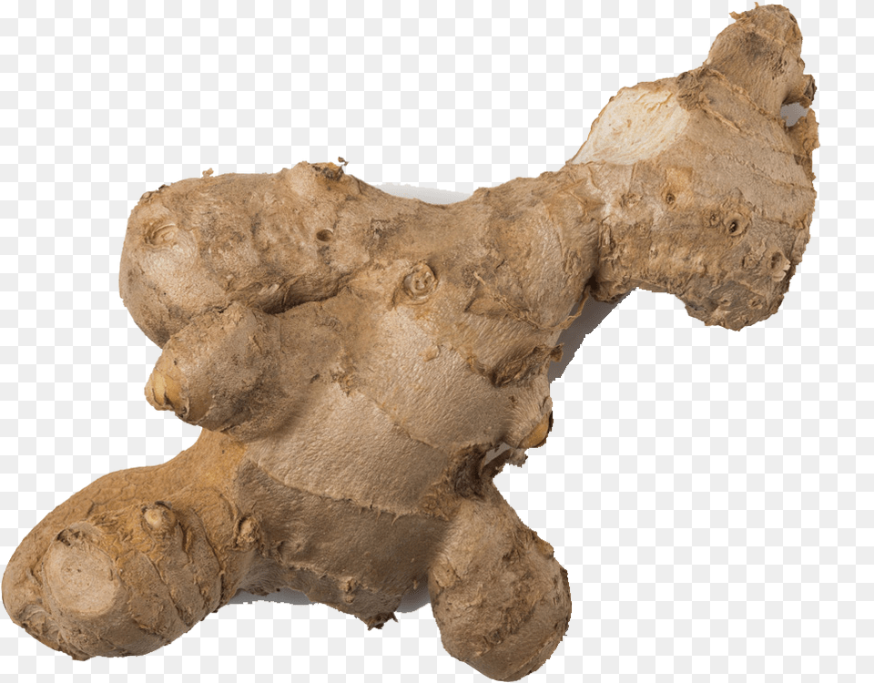 Ginger Transparent Background Greater Galangal, Food, Plant, Spice Png