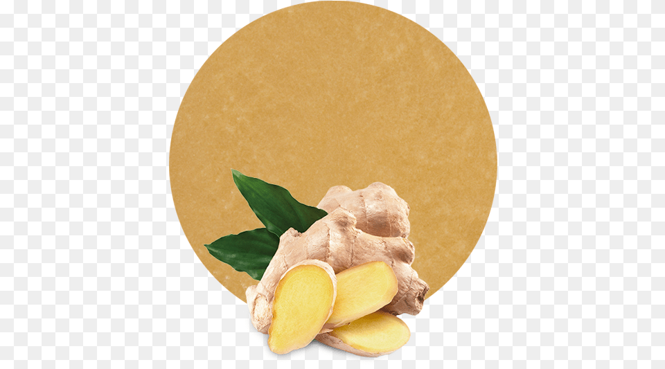 Ginger Vector, Food, Plant, Spice, Bread Free Png Download