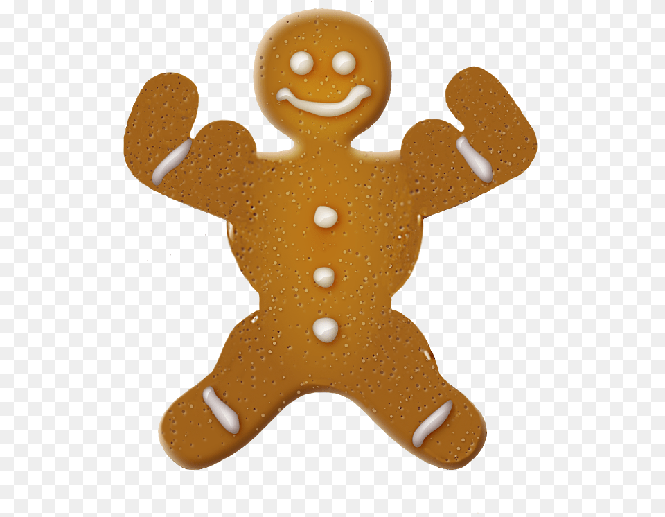 Gingerbread, Cookie, Food, Sweets, Nature Png Image