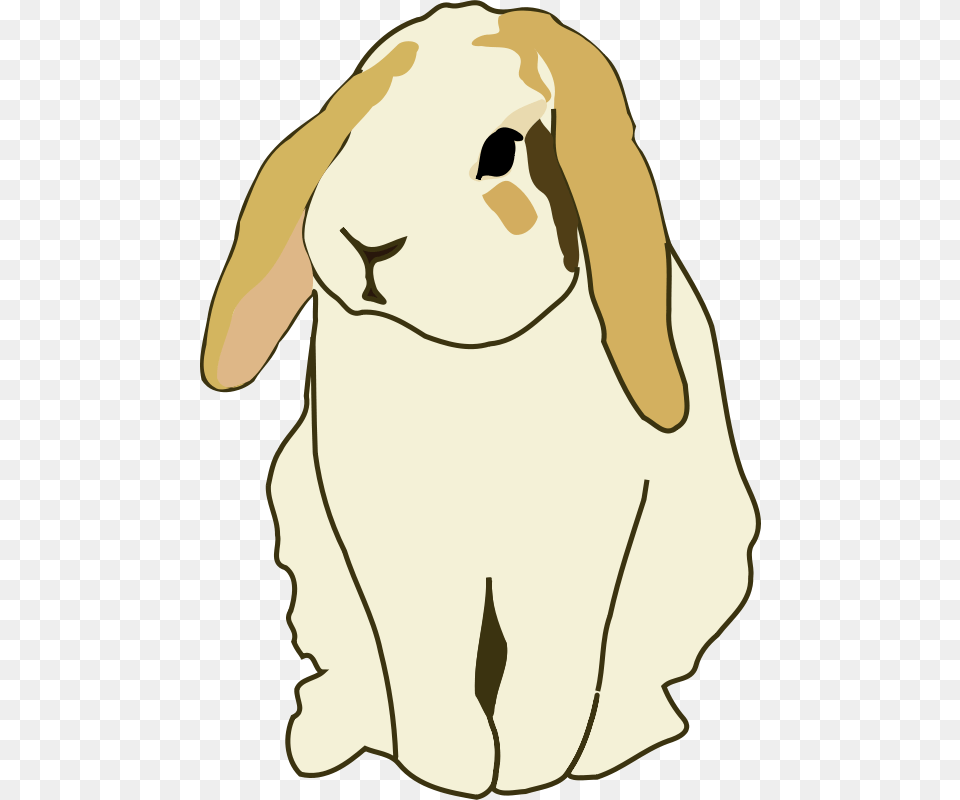 Gingercoons Lop Eared Rabbit, Animal, Mammal, Baby, Person Free Png