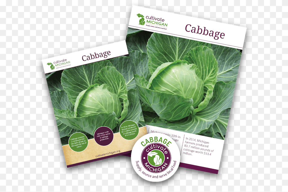 Gingered Cabbage Slaw Collard Greens, Food, Leafy Green Vegetable, Plant, Produce Free Png Download