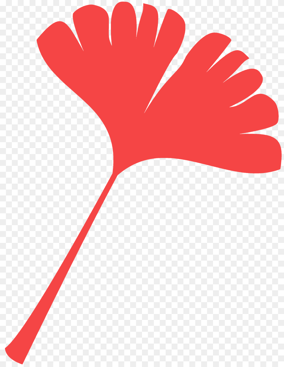 Gingko Leaf Silhouette, Flower, Plant, Clothing, Glove Free Png