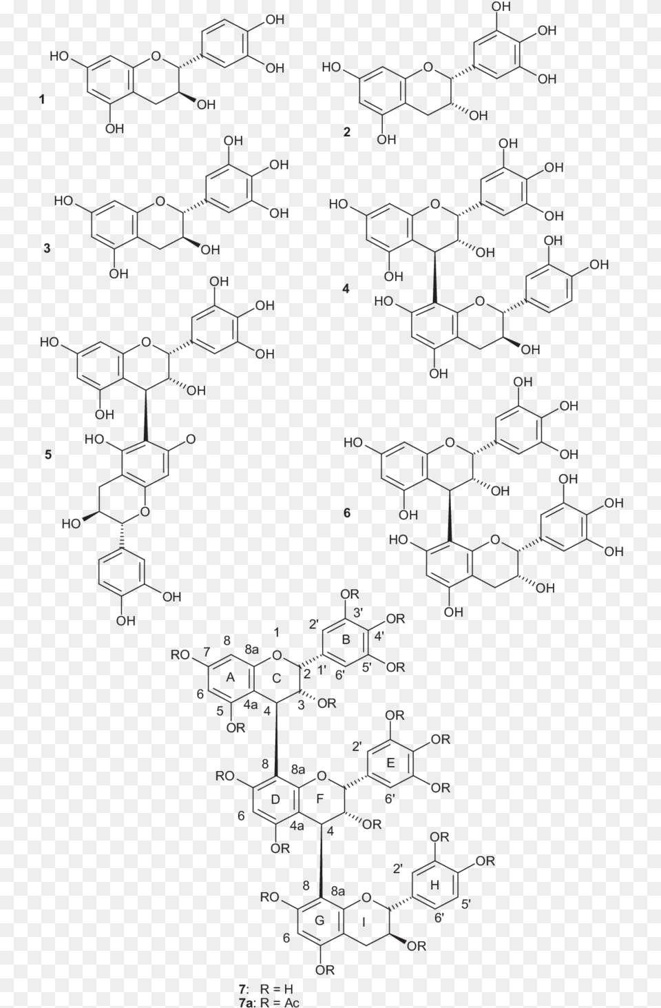 Ginkgo Biloba Chemistry, Pattern, Blackboard Free Transparent Png