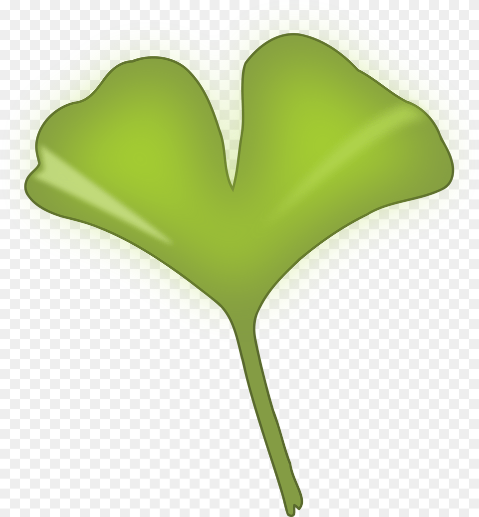 Ginkgo Biloba Leaf Clip Arts Ginkgo Biloba Leaf, Green, Plant, Bow, Weapon Png