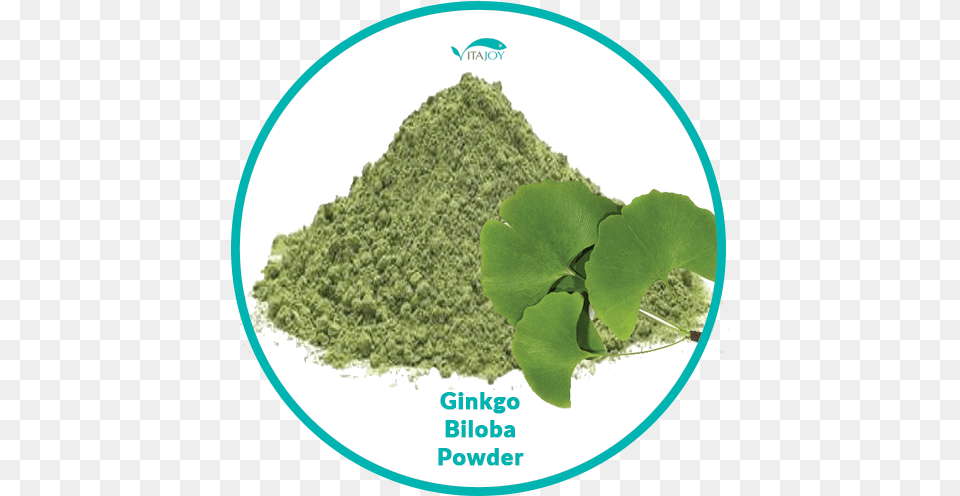 Ginkgo Biloba Leaf Powder 100x100mm Create Your Own Catering Sign, Moss, Plant, Herbal, Herbs Png