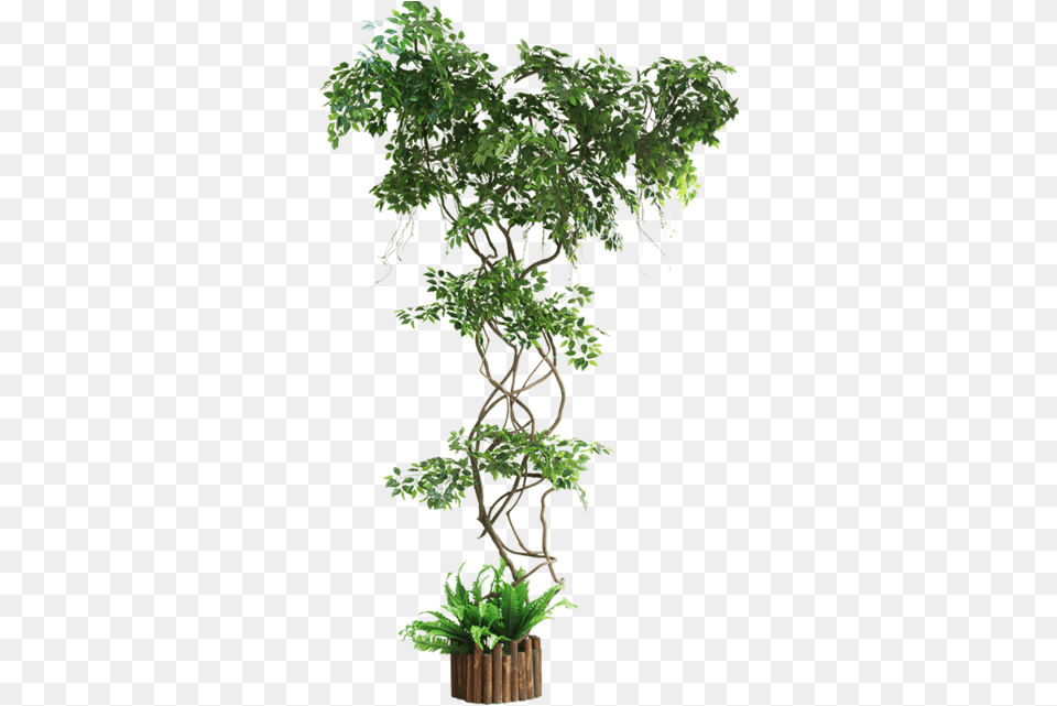 Ginkgo Fake Branch Simulation Leaves Balcony Package Artificial Ivy Plants Uk, Green, Plant, Potted Plant, Tree Free Png