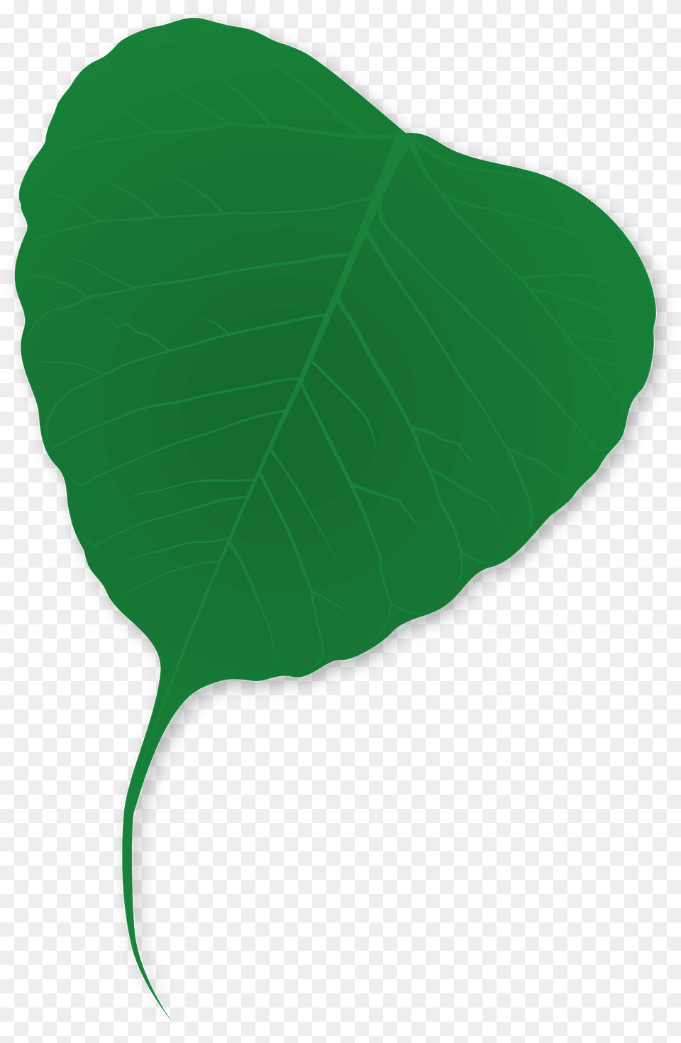 Ginkgo Leaf Clipart, Plant, Smoke Pipe Free Png Download