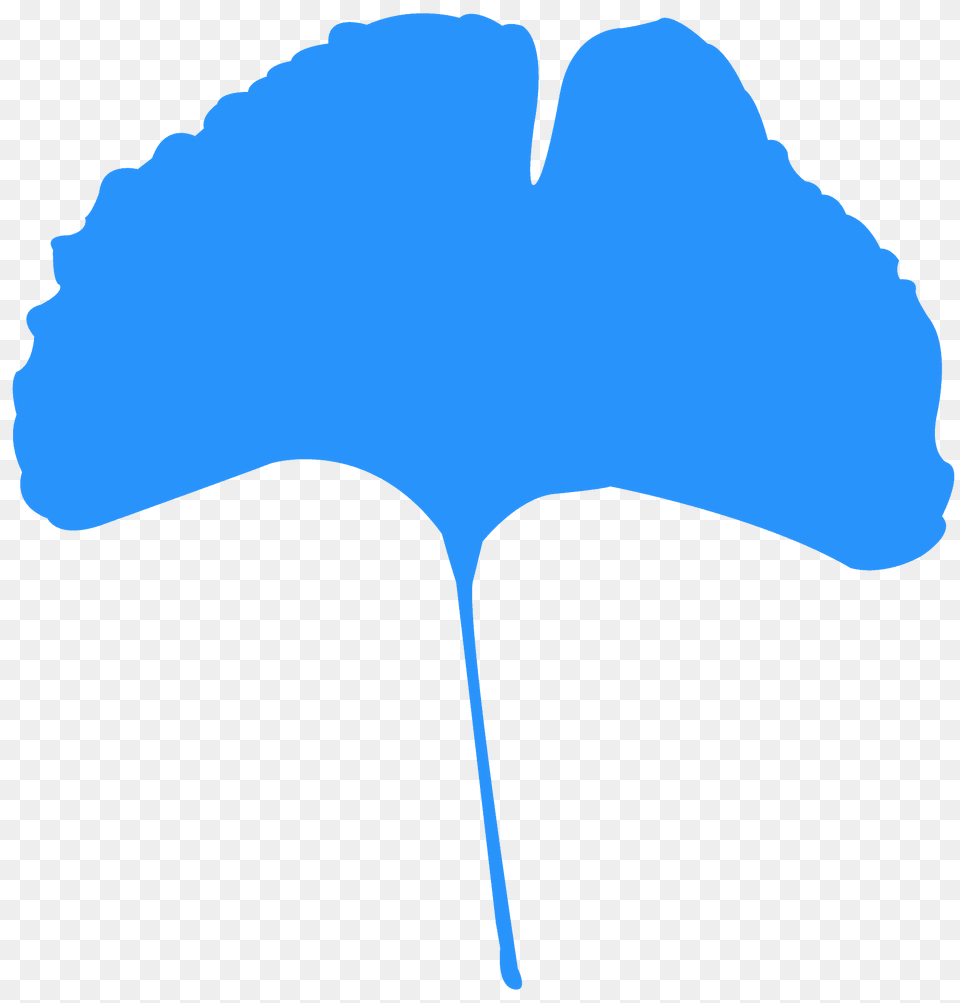 Ginkgo Leaf Silhouette, Plant Png