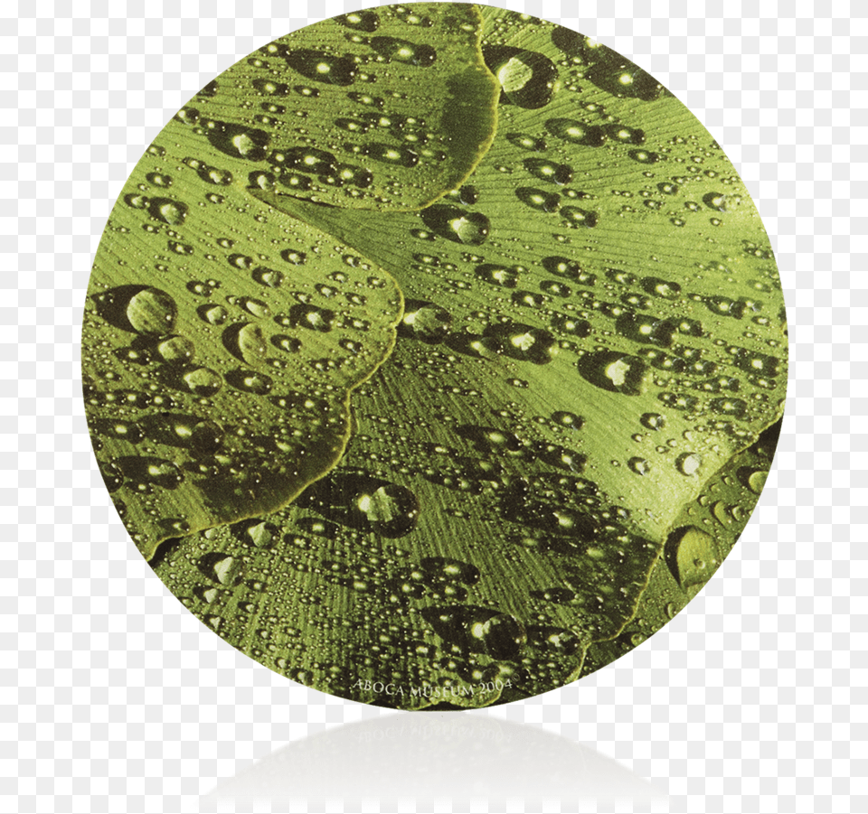 Ginkgo Mouse Pad Circle, Leaf, Plant, Sphere, Droplet Free Png Download