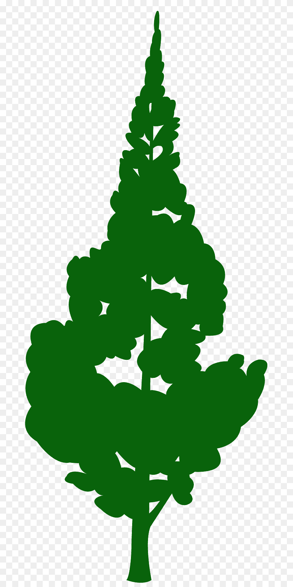 Ginkgo Tree Silhouette, Plant, Fir, Leaf, Pine Png Image