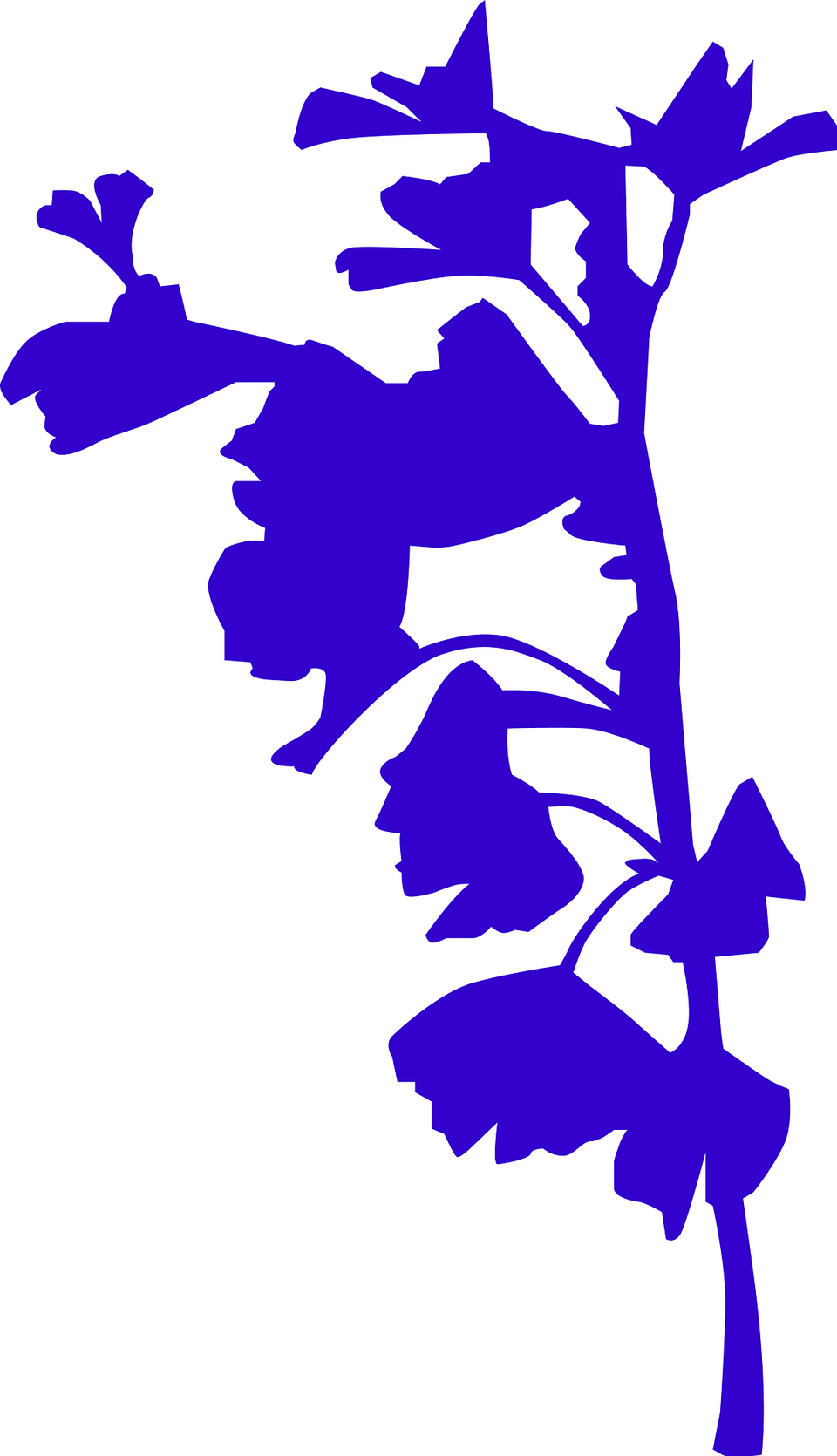 Ginkgo Vector Clipart, Plant, Flower, Leaf, Art Free Png