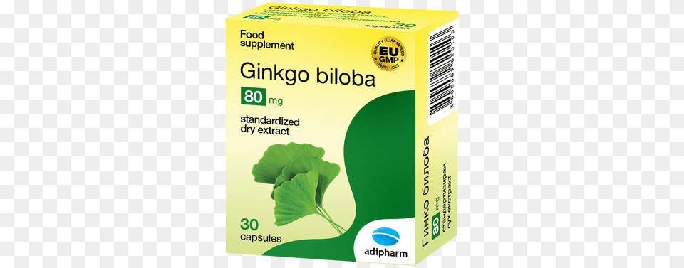 Ginko Biloba Eng Big Ginkgo Biloba Medicine, Herbal, Herbs, Plant, Food Free Png