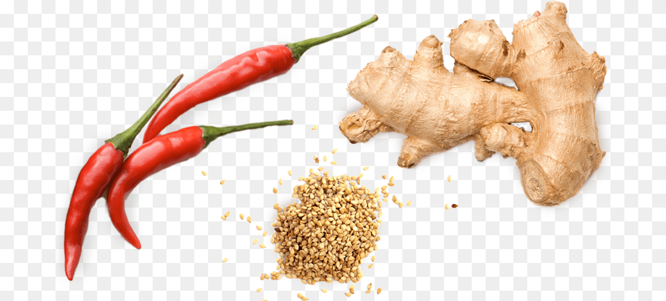 Giorgio Mushroom Jerky Serrano Pepper, Food, Ginger, Plant, Spice Free Transparent Png