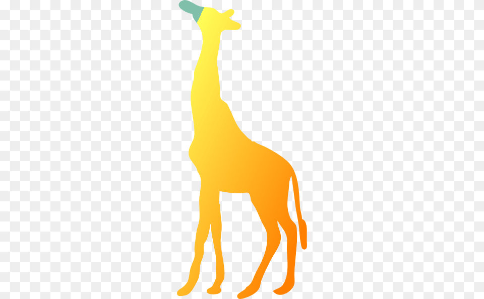 Giraf Clip Art, Animal, Kangaroo, Mammal Free Transparent Png