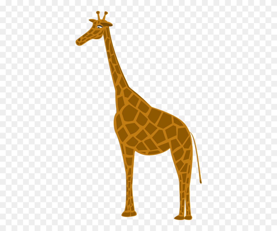 Giraffa, Animal, Giraffe, Mammal, Wildlife Free Png Download
