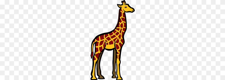 Giraffe Animal, Mammal, Wildlife, Kangaroo Free Transparent Png