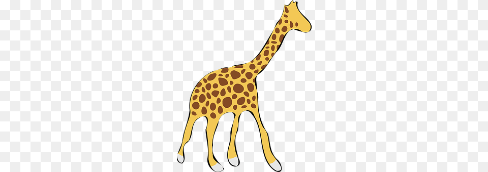 Giraffe Animal, Mammal, Wildlife Free Transparent Png