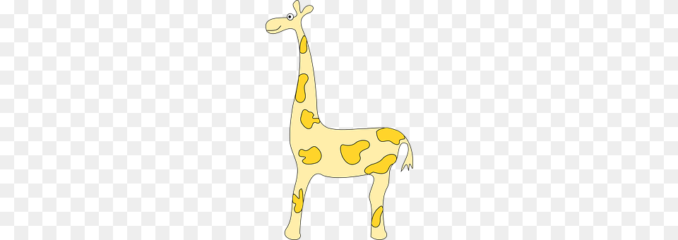 Giraffe Animal, Mammal, Person Free Png Download