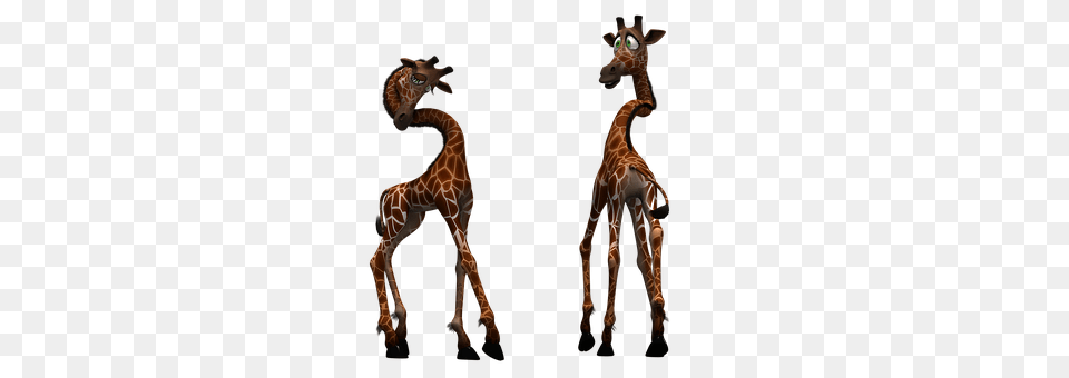 Giraffe Animal, Mammal, Wildlife Free Transparent Png