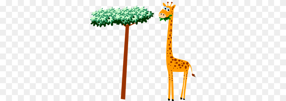 Giraffe Animal, Mammal, Wildlife Png Image