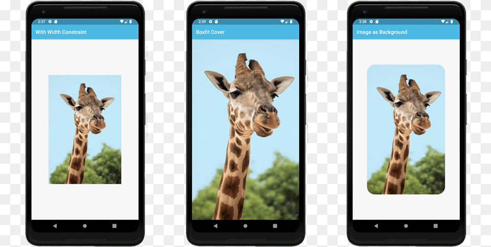 Giraffe, Electronics, Mobile Phone, Phone, Animal Free Transparent Png