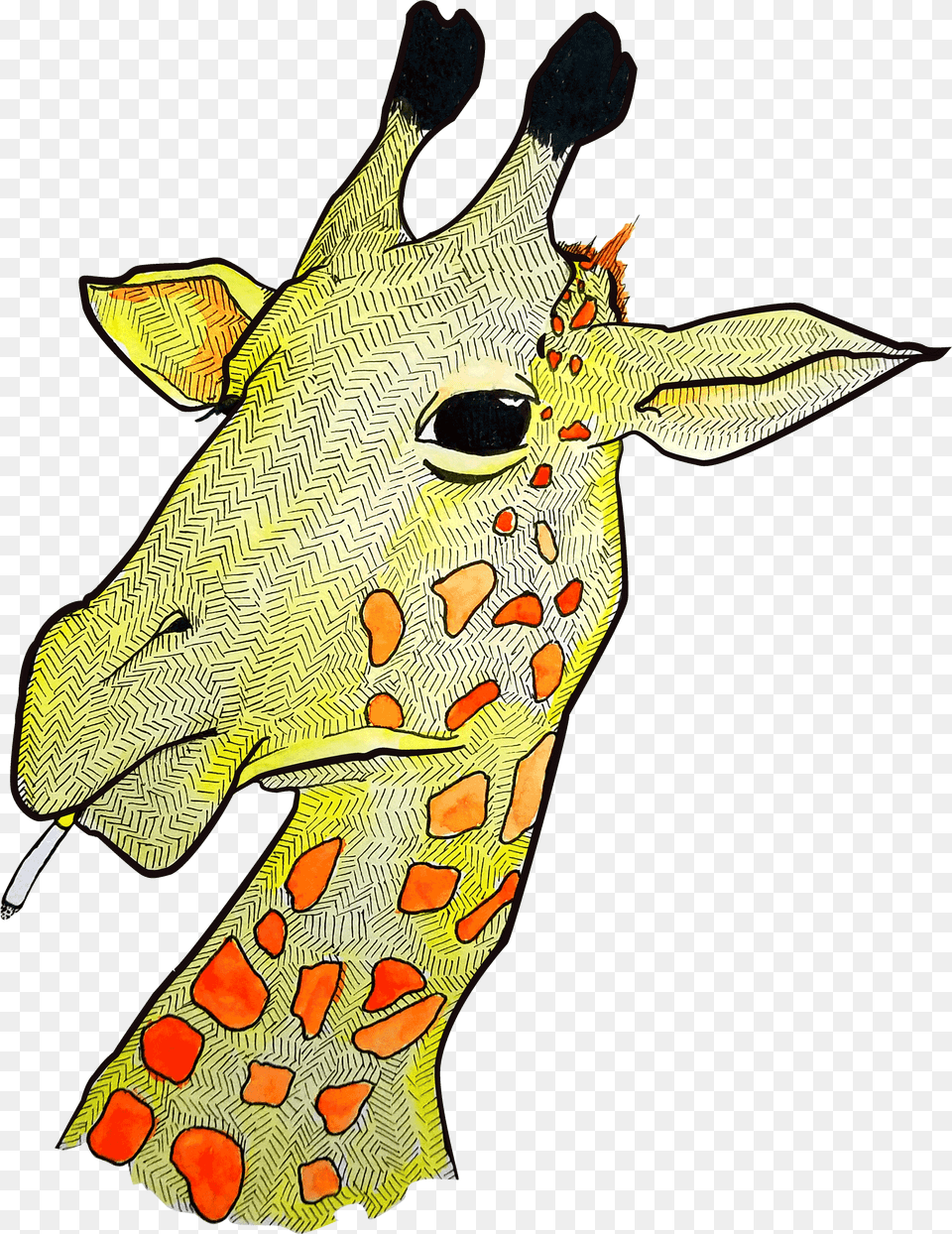 Giraffe, Art, Animal, Bird Free Transparent Png