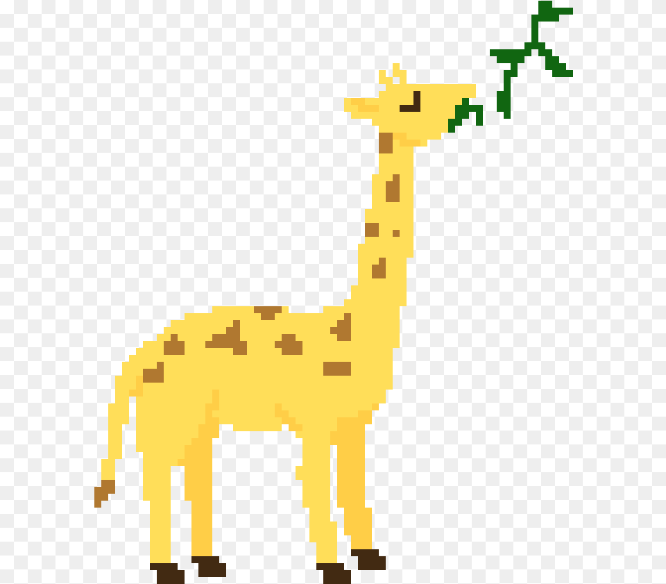 Giraffe, Animal, Mammal, Deer, Wildlife Free Png Download