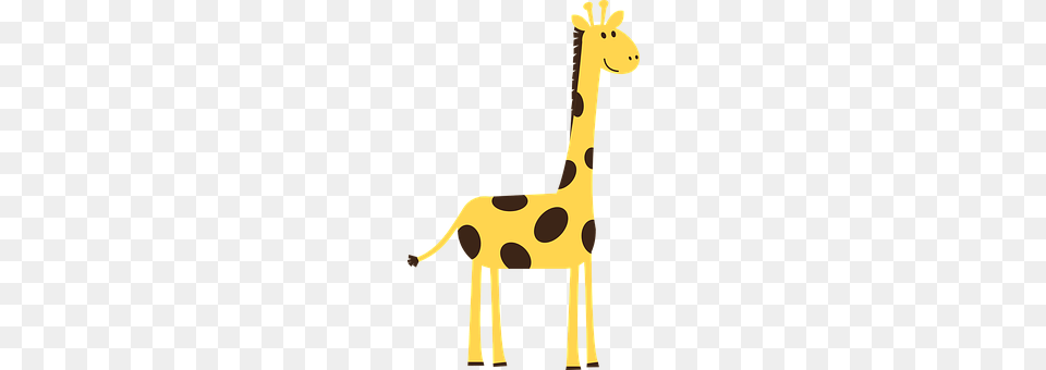 Giraffe Animal, Mammal, Wildlife Free Png Download