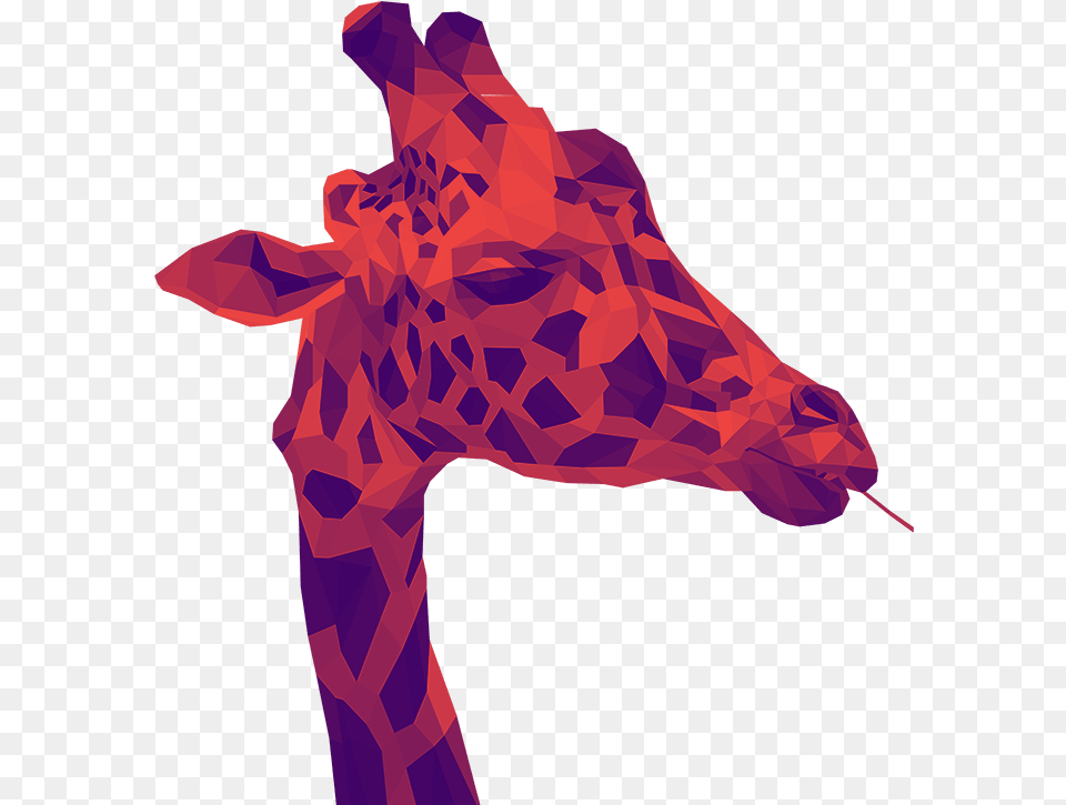 Giraffe, Purple, Clothing, Coat, Animal Free Transparent Png