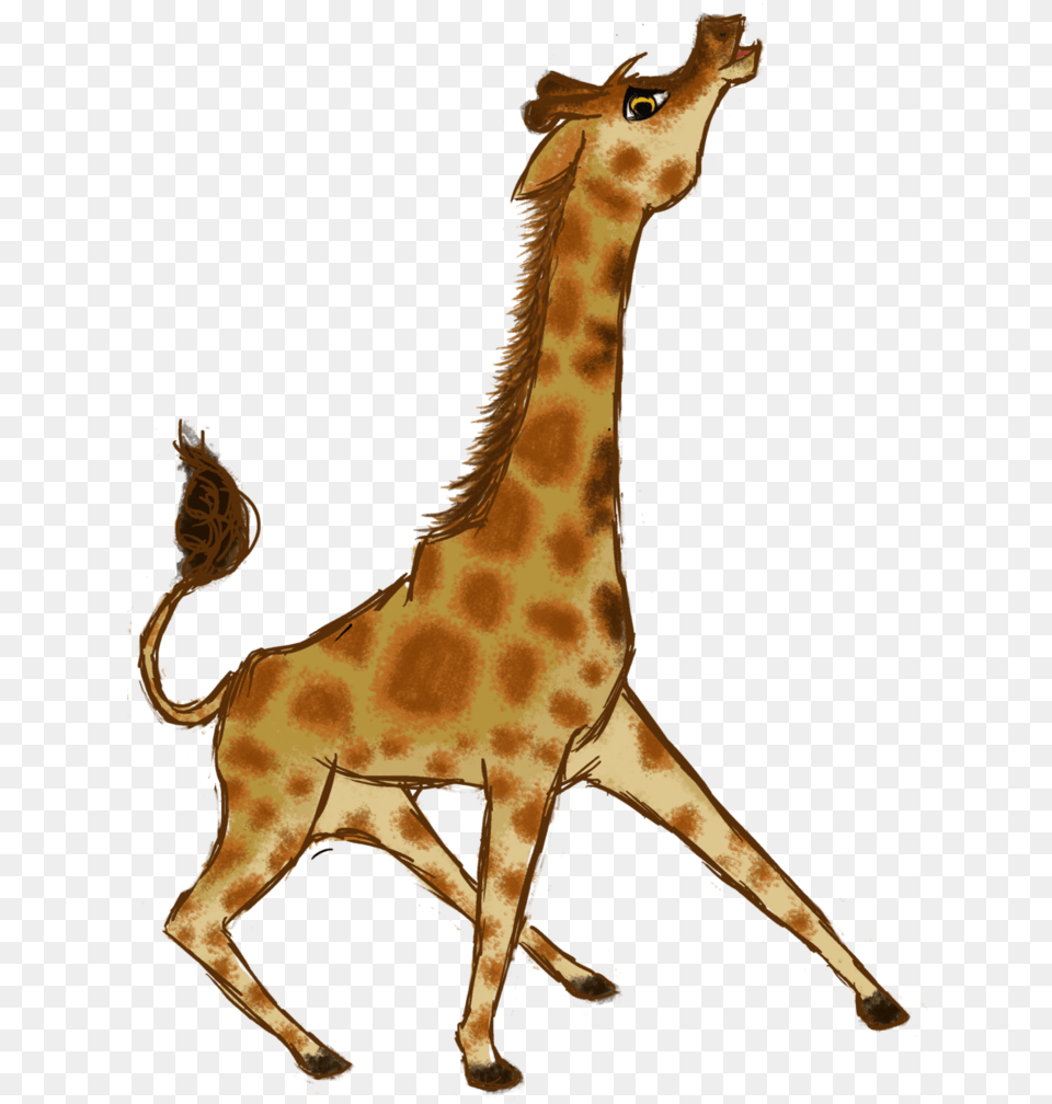 Giraffe, Animal, Mammal, Wildlife Free Png Download