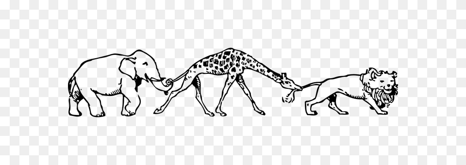 Giraffe Gray Free Transparent Png