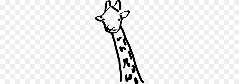 Giraffe Gray Free Png Download