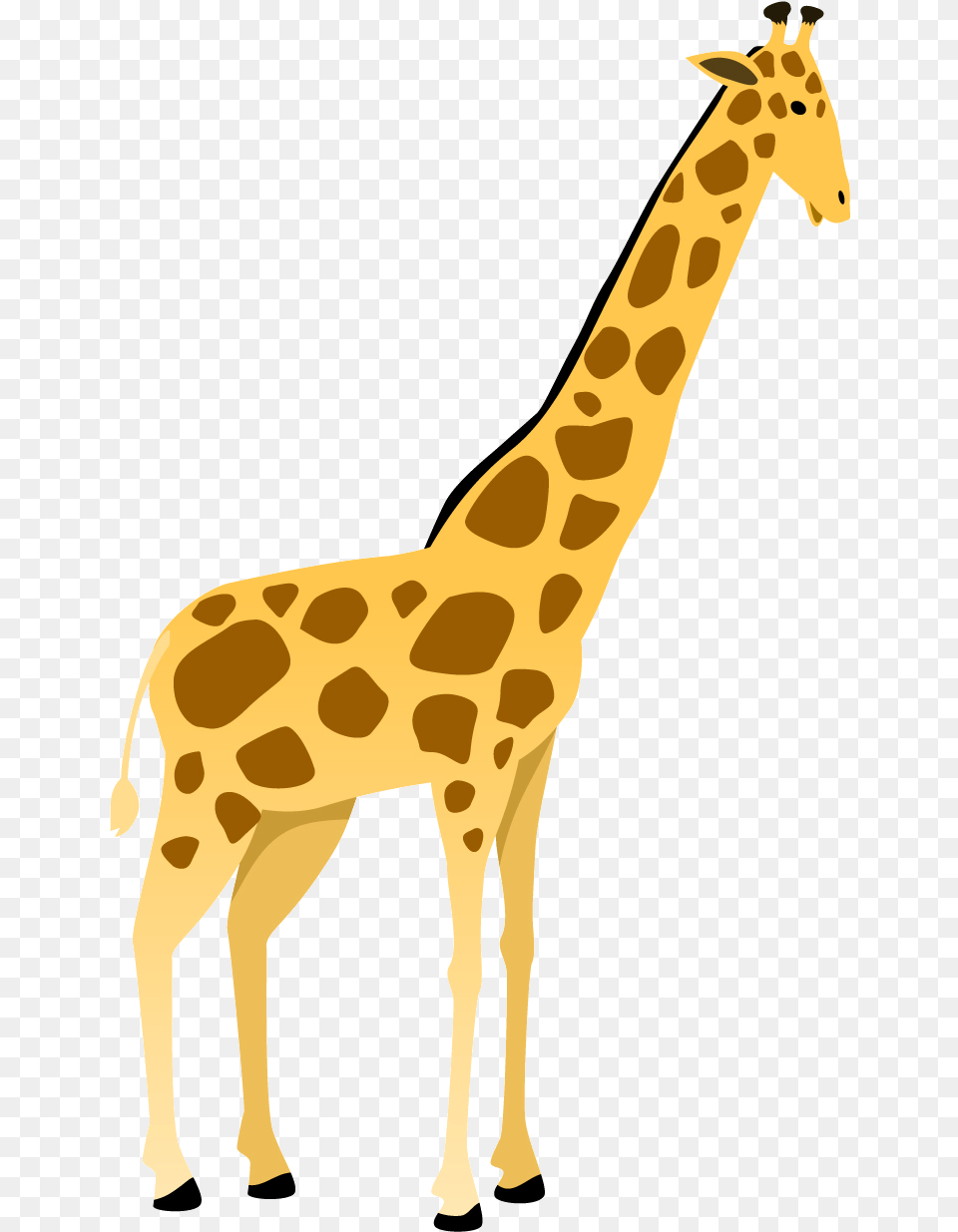 Giraffe, Animal, Mammal, Wildlife Free Png