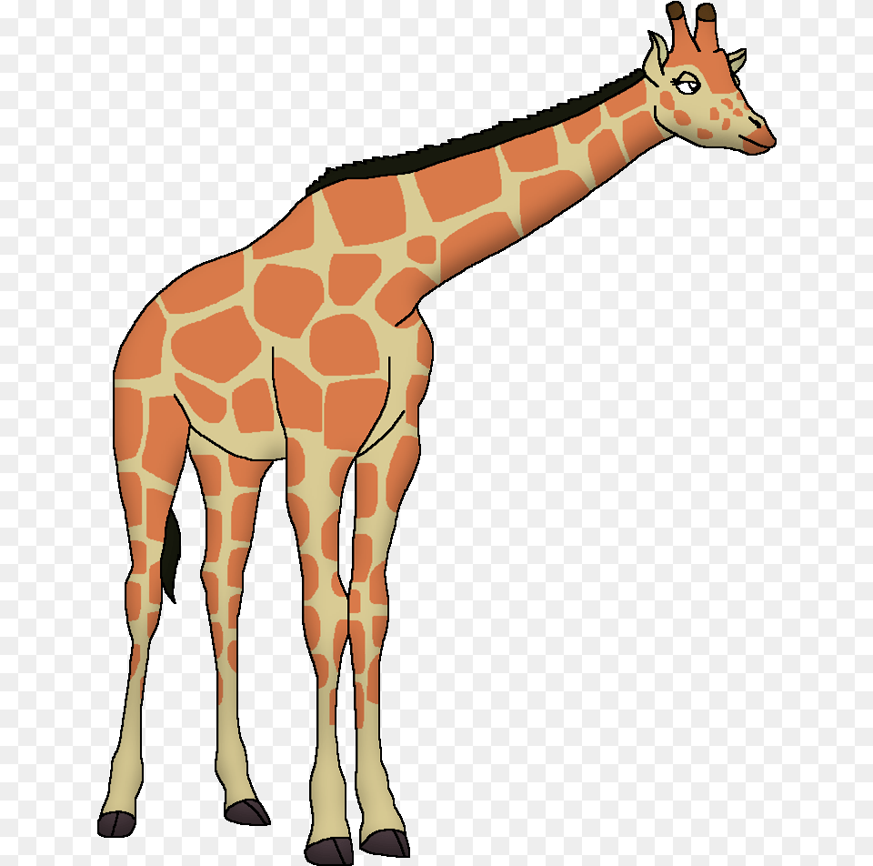 Giraffe, Animal, Mammal, Wildlife, Adult Free Transparent Png