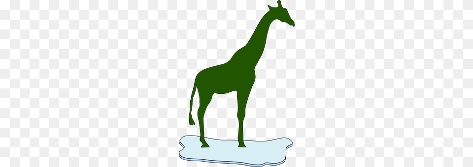 Giraffe Smoke Pipe, Animal, Mammal Free Transparent Png