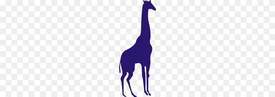 Giraffe Person, Animal, Mammal Free Png Download