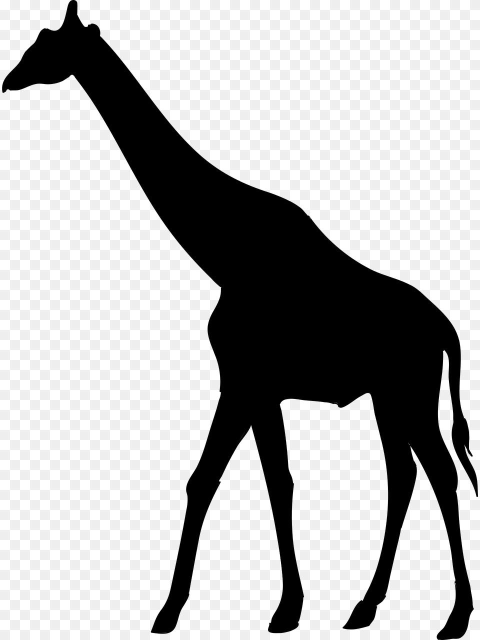 Giraffe African Animal Silhouette, Gray Png