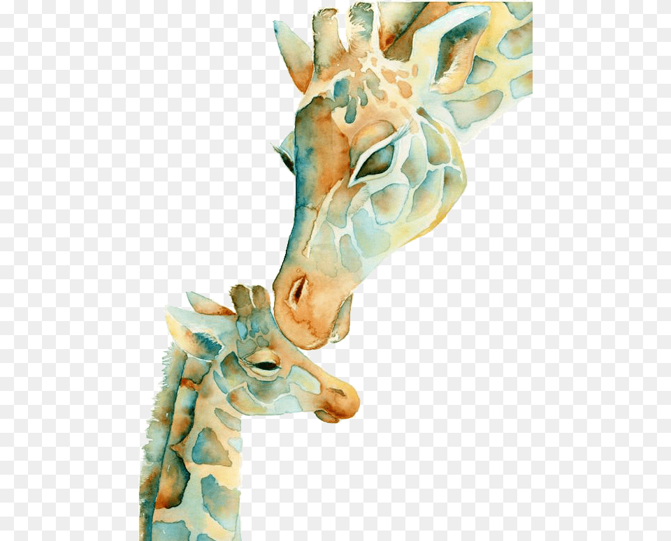 Giraffe And Baby Art, Animal, Mammal, Wildlife, Person Free Png