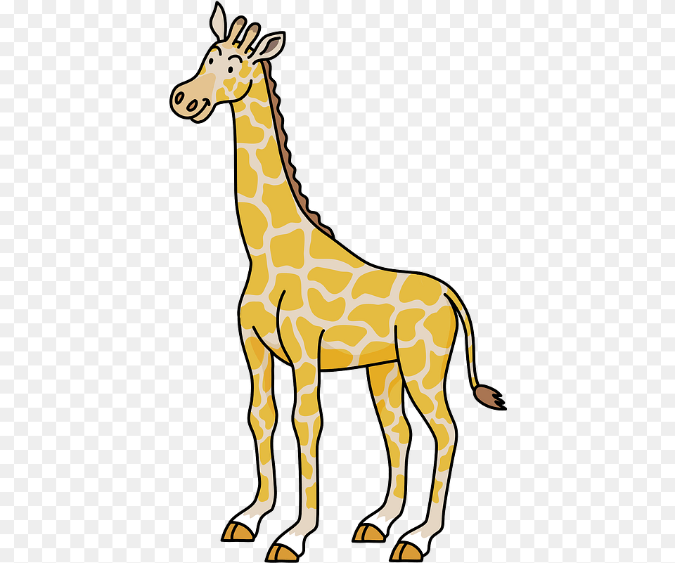 Giraffe Animal Clipart Giraffe, Mammal, Wildlife Free Png Download