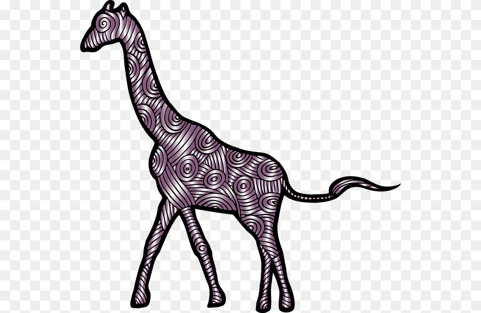 Giraffe Animal Mammal Decorative Decoration Zoo South African Giraffe Cartoon, Art, Wildlife, Zebra Free Png Download