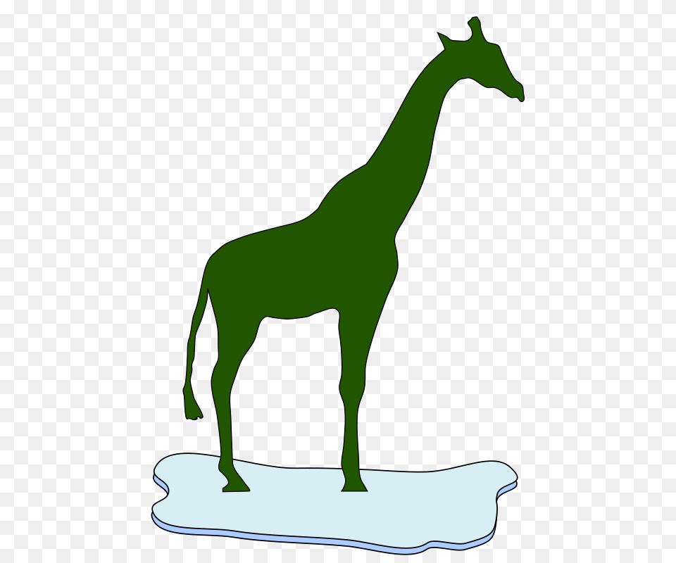 Giraffe Auf Einer Eisscholle, Animal, Person, Mammal Free Png