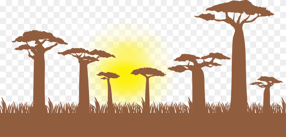 Giraffe Baobab Illustration Grass Border Clip Art, Sunlight, Savanna, Outdoors, Nature Free Png Download