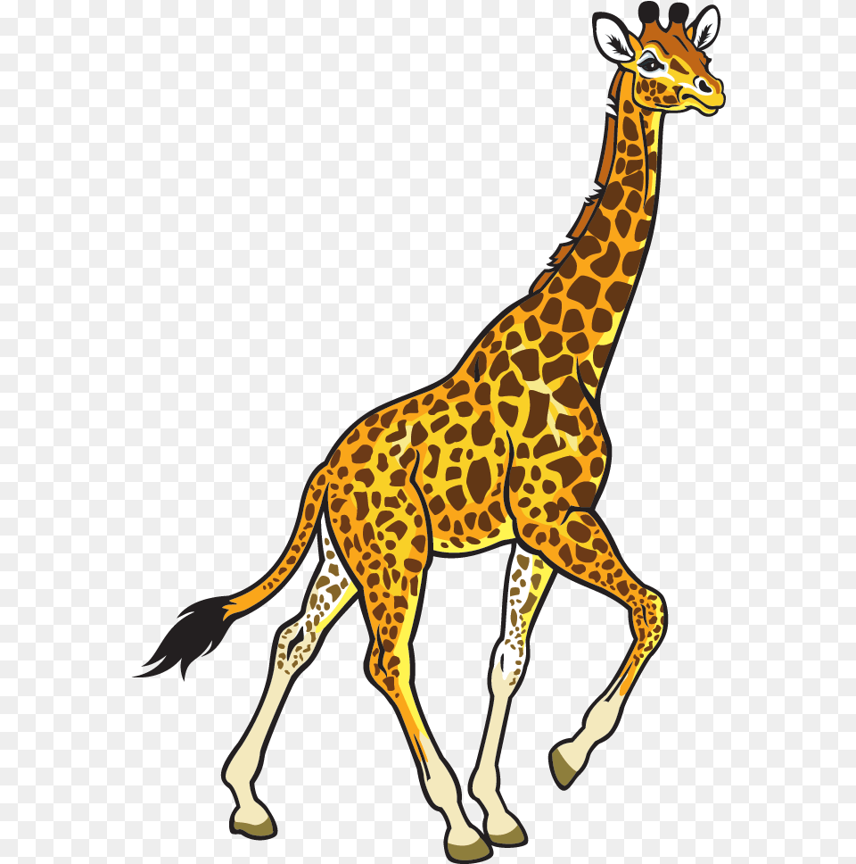 Giraffe Black And White, Animal, Mammal, Wildlife Free Png Download