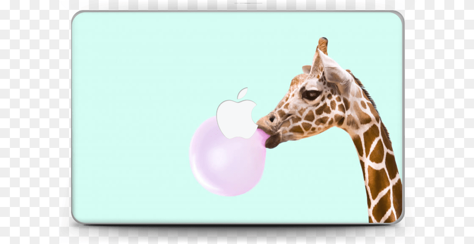 Giraffe Bubble Poster Giraffe, Balloon, Animal, Mammal, Wildlife Png Image