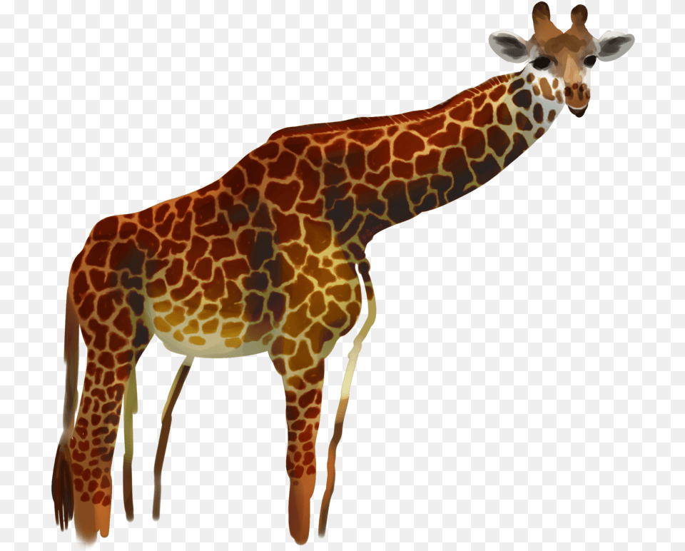 Giraffe By Procastinagoat Giraffe By Procastinagoat Giraffe, Animal, Mammal, Wildlife Png Image